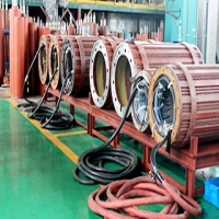 Characteristics of sewage pump